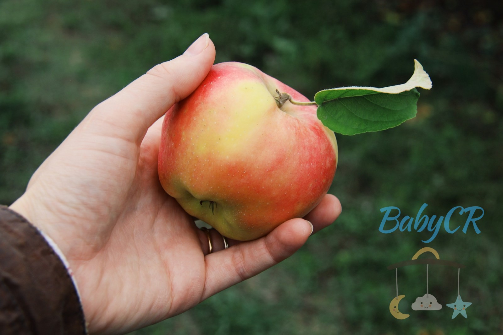 How to Make Apple Puree for Baby