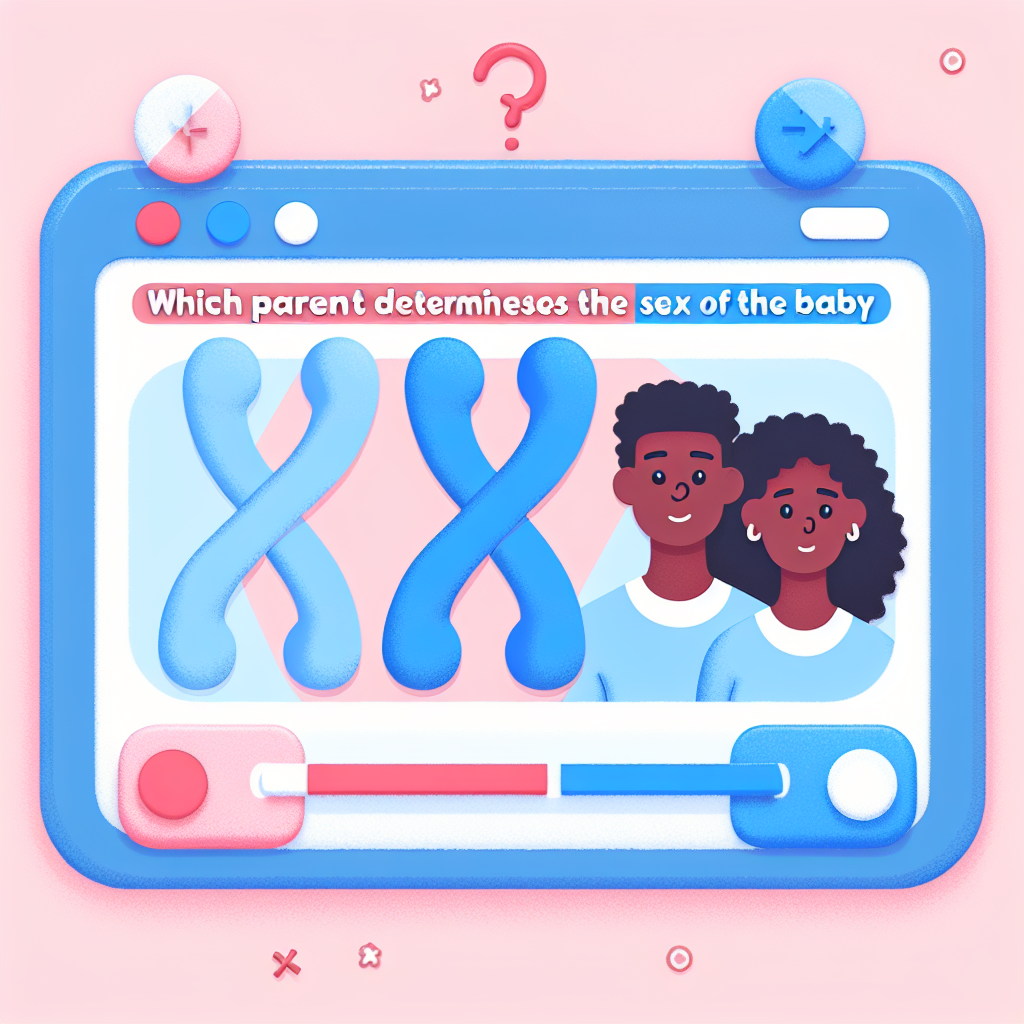 Which Parent Determines the Sex of the Baby