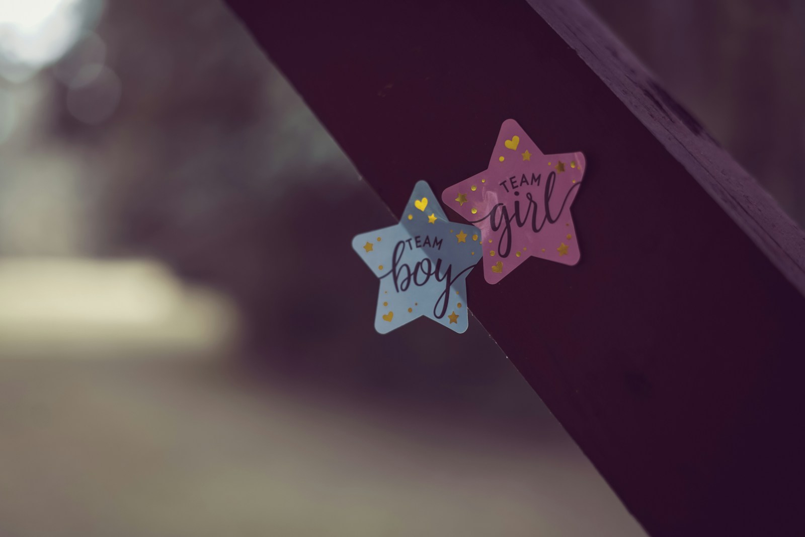 Can You Choose Your Baby's Gender