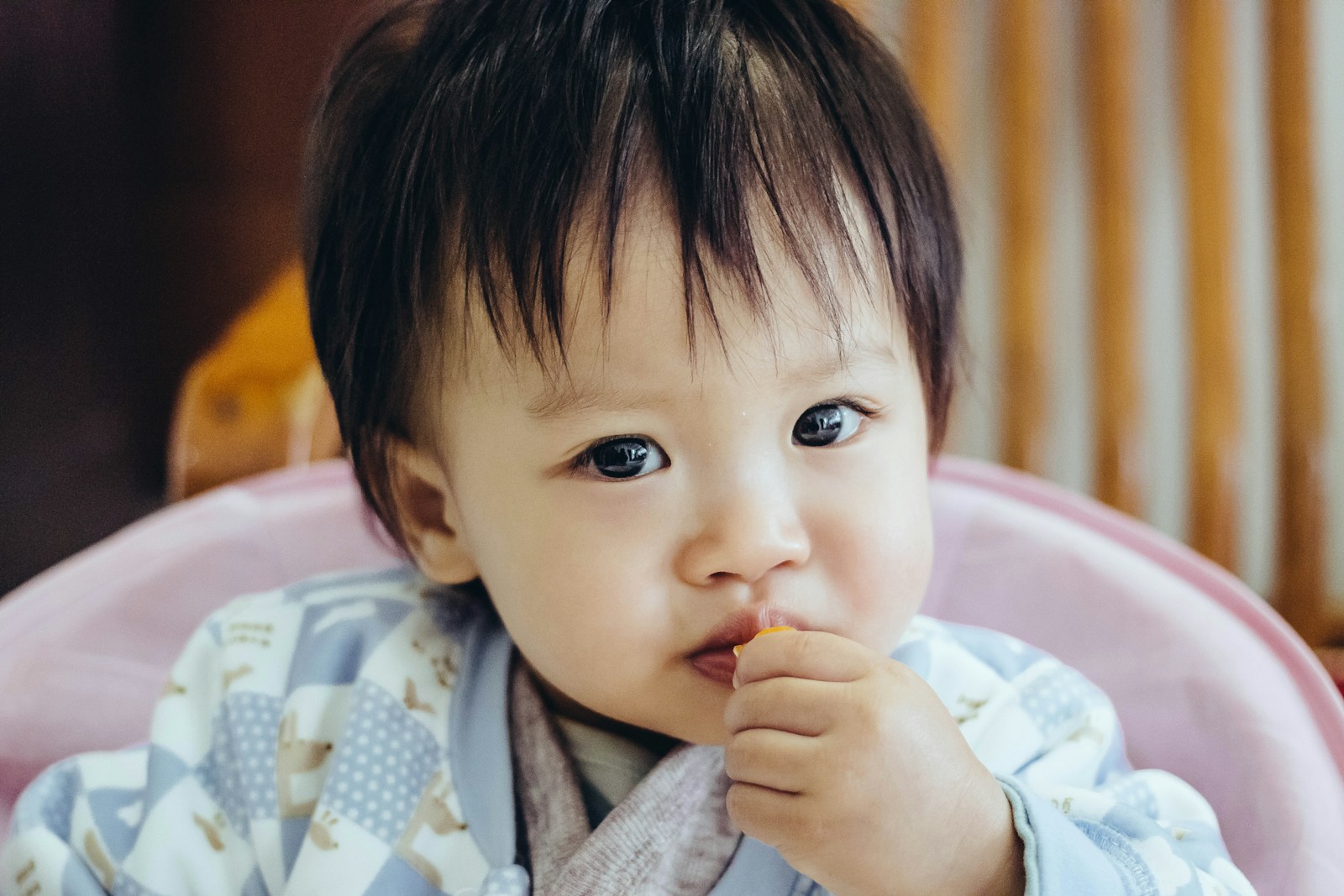 Can Babies Eat Cheese