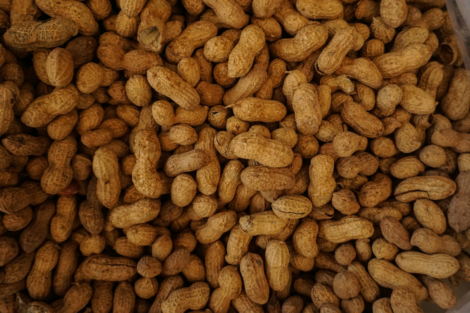 Can Babies Have Peanut Butter