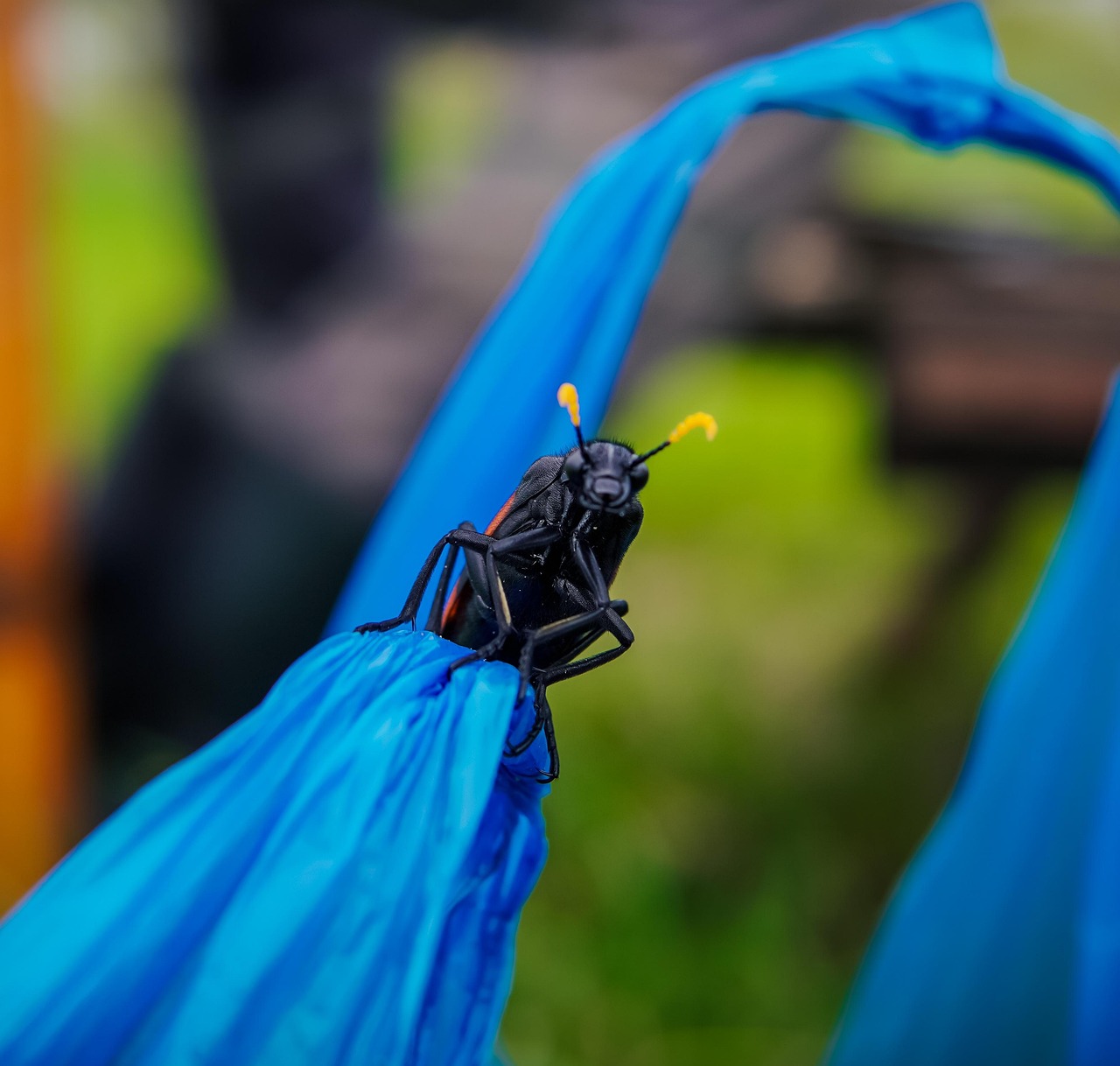 Baby’s Lips Blister While Breastfeeding related image