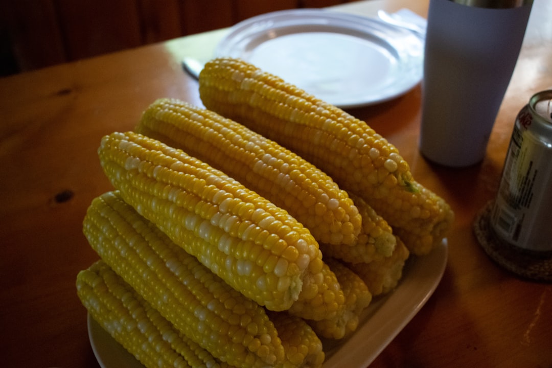 Can Babies Eat Corn topic image