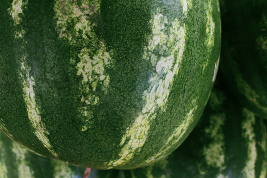 Can Babies Have Watermelon image