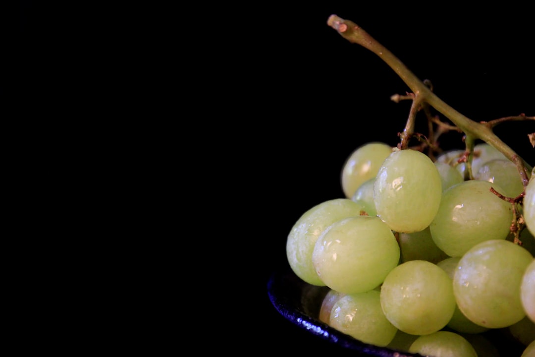 Can Babies Eat Grapes related image