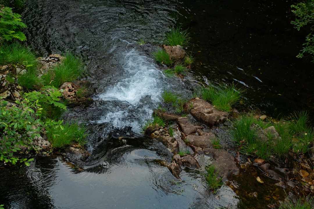 Can Babies Drink Spring Water topic image