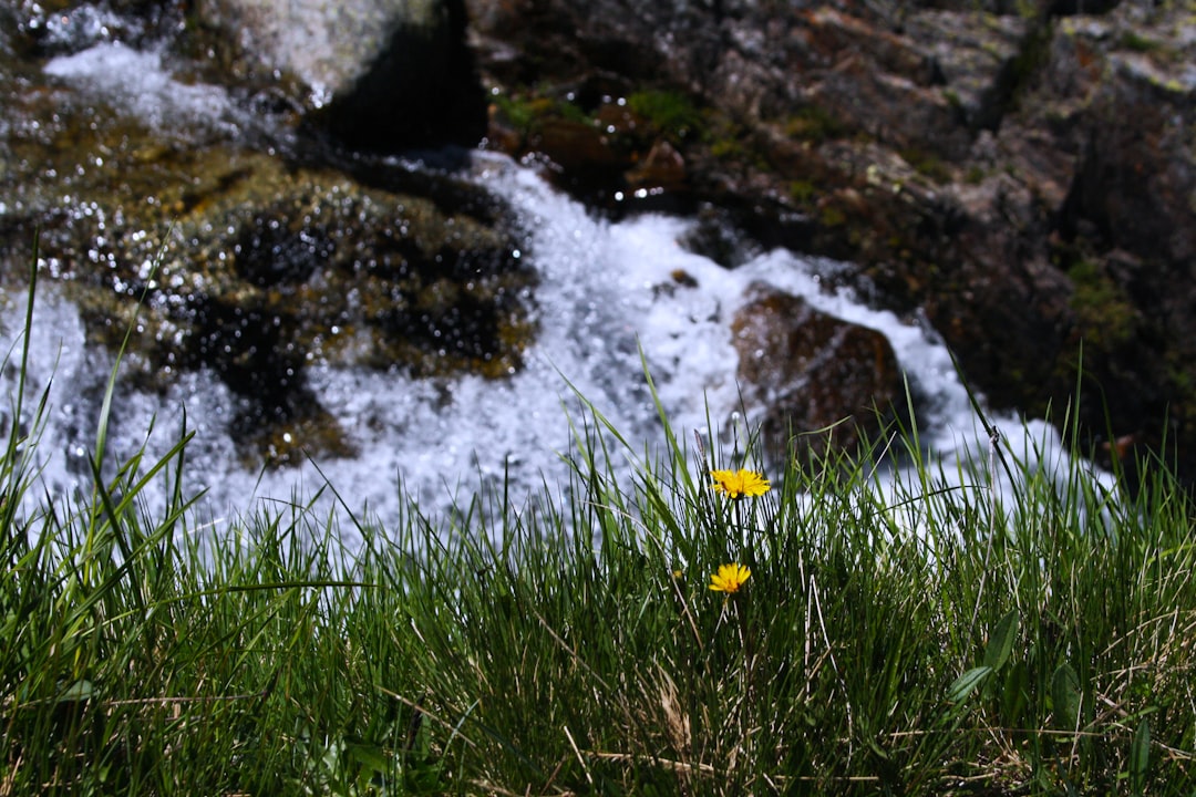 Can Babies Drink Spring Water image