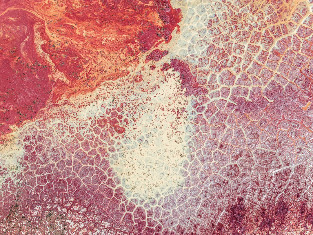 Can Babies Get Shingles topic image